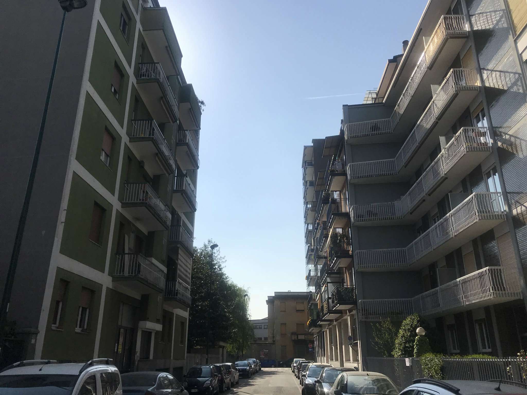 Appartamento SESTO SAN GIOVANNI vendita   Nievo SERVICE IMMOBILIARE