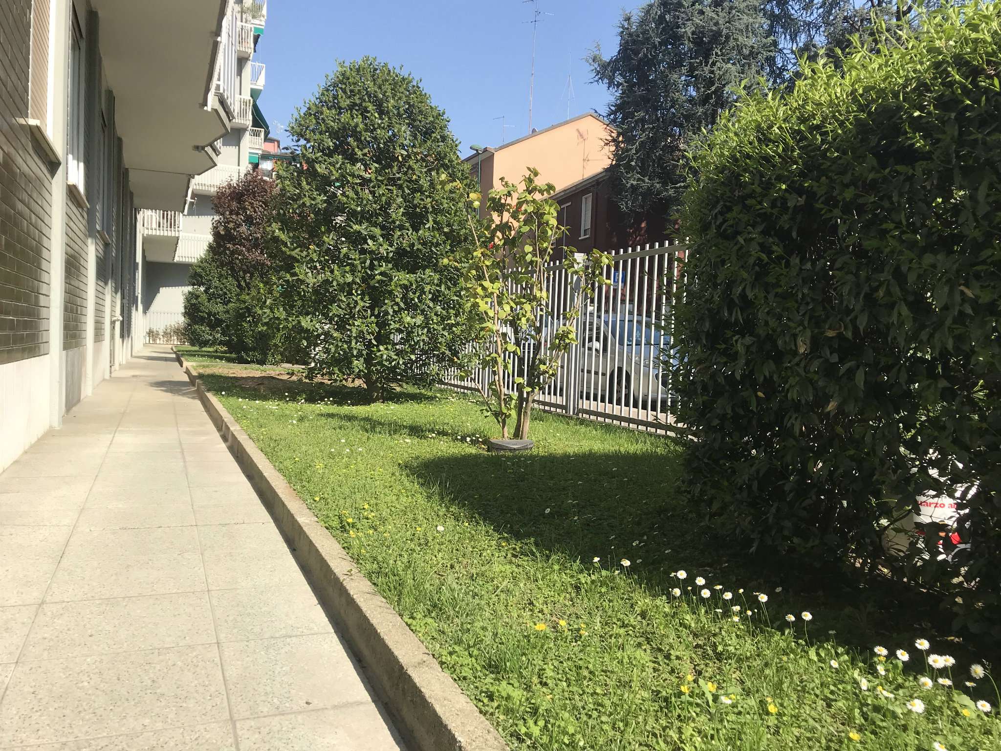 Appartamento SESTO SAN GIOVANNI vendita   Nievo SERVICE IMMOBILIARE