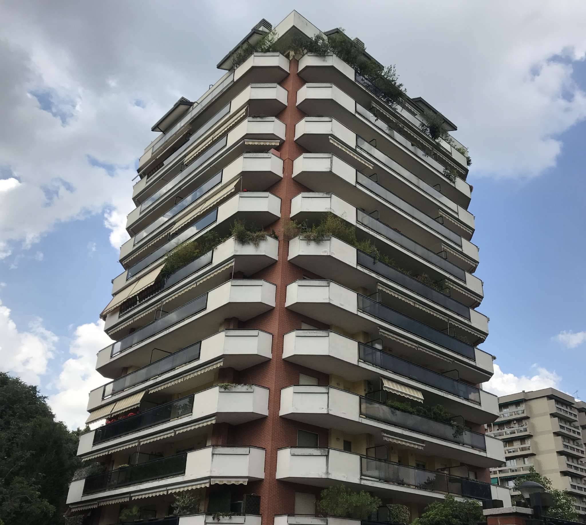 Appartamento SESTO SAN GIOVANNI vendita   Timavo SERVICE IMMOBILIARE