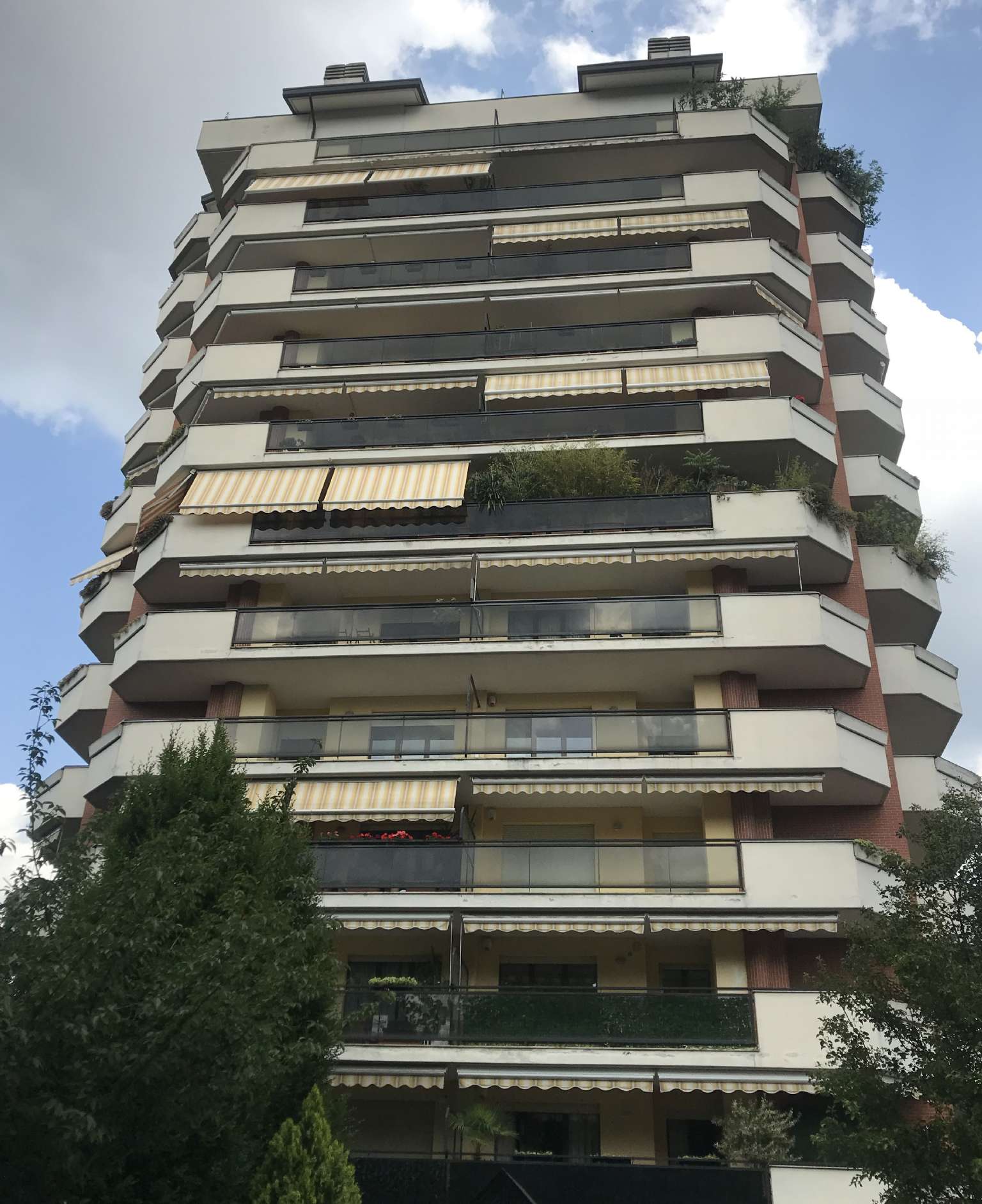 Appartamento SESTO SAN GIOVANNI vendita   Timavo SERVICE IMMOBILIARE