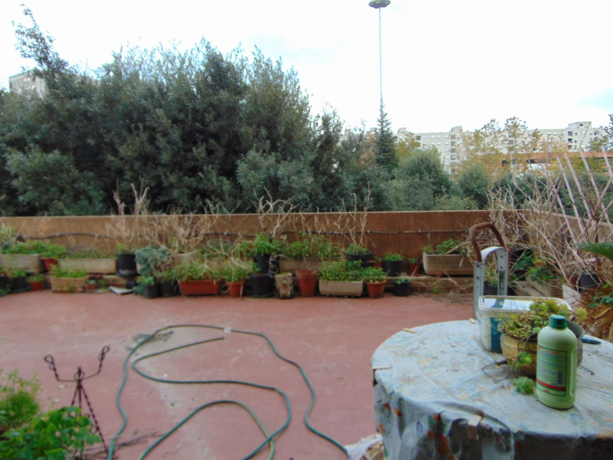 Appartamento ROMA vendita  TOR BELLA MONACA Pietro Anderloni Il Consulente Group