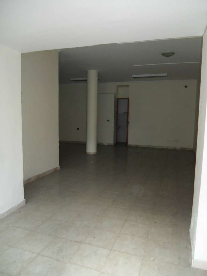 Negozio - Loc.Com. ROMA affitto  ALESSANDRINO  dell'edera Il Consulente Group