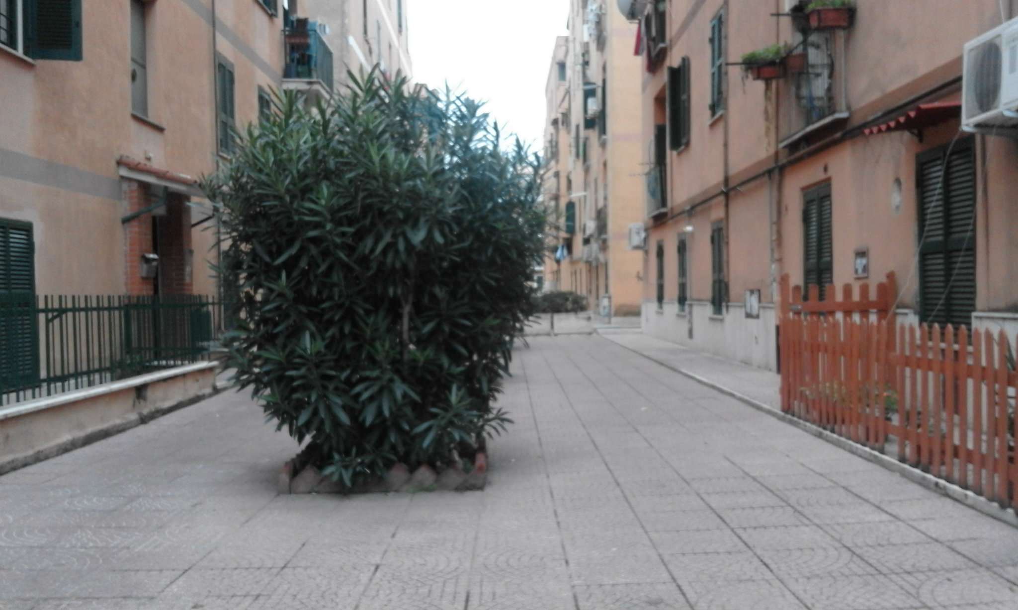 Appartamento ROMA vendita  PRENESTINO - CENTOCELLE  delle rose Il Consulente Group