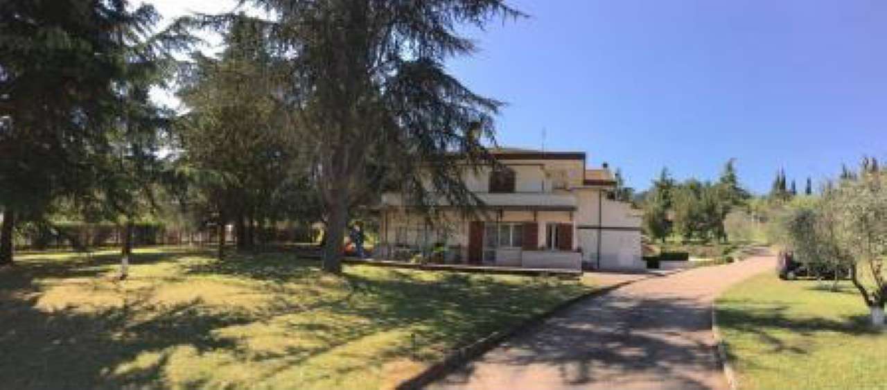  roma affitto quart: laurentina international point immobiliare