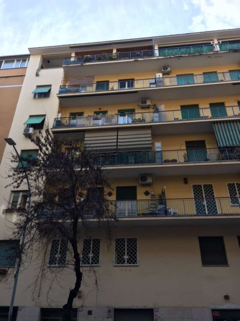  roma affitto quart: prenestino - centocelle  cecili immobiliare