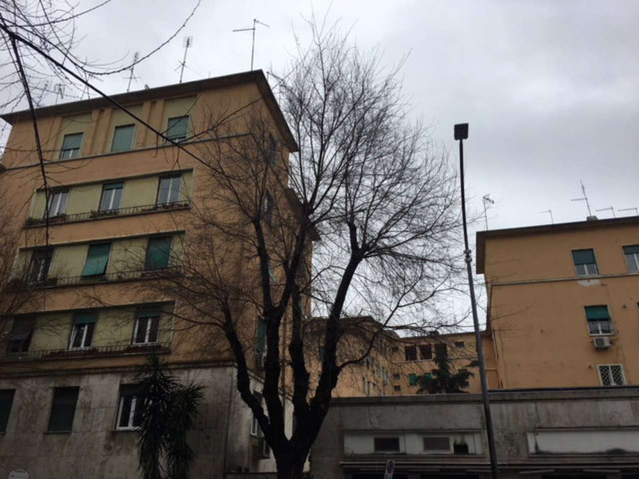  roma vendita quart: gianicolense (xv mun.) cecili immobiliare