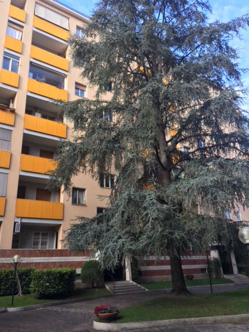  roma vendita quart: balduina cecili immobiliare