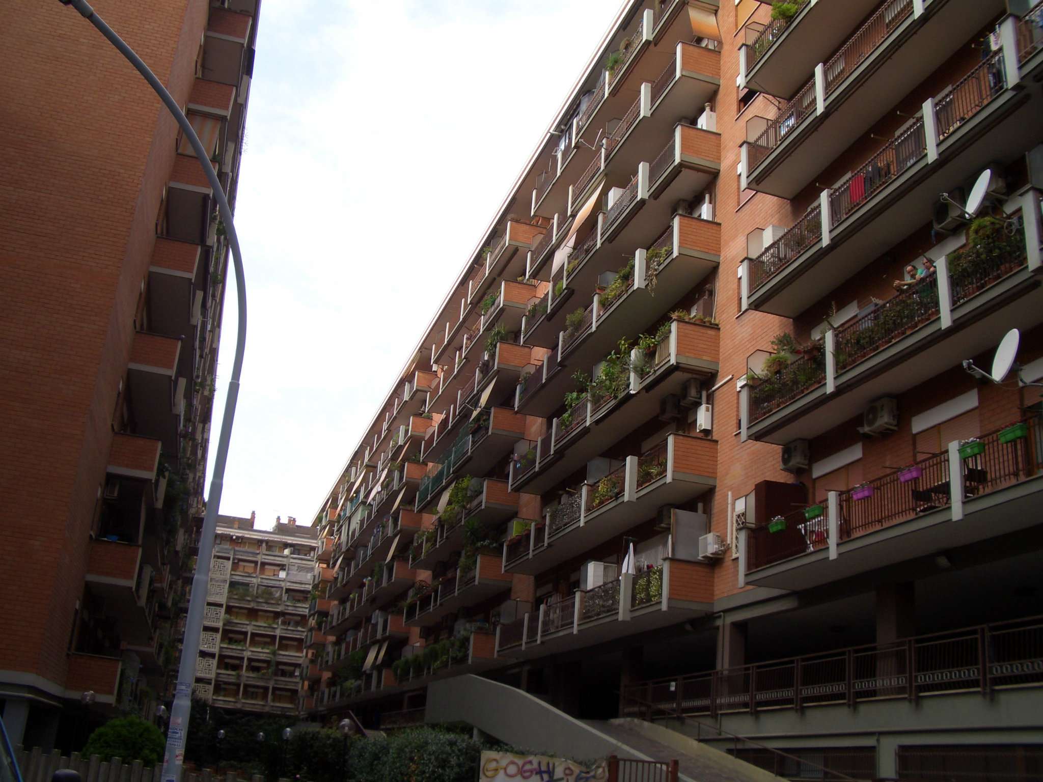  roma affitto quart: prenestino - centocelle  cecili immobiliare