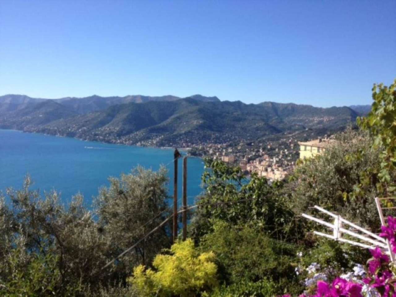Appartamento CAMOGLI vendita   san rocco di camogli Gobello Immobiliare