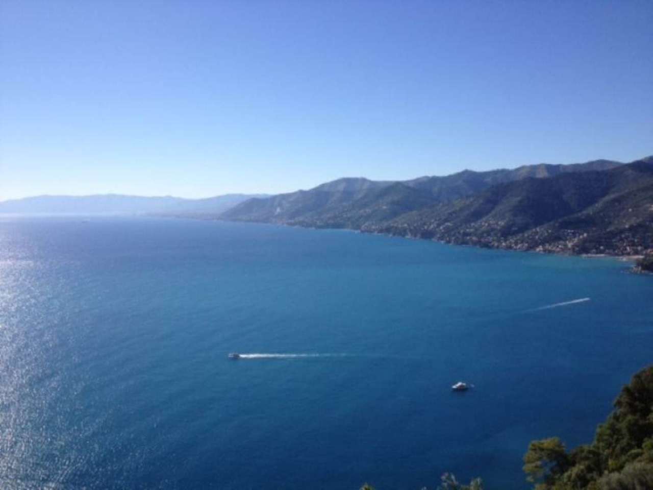 Appartamento CAMOGLI vendita   san rocco di camogli Gobello Immobiliare