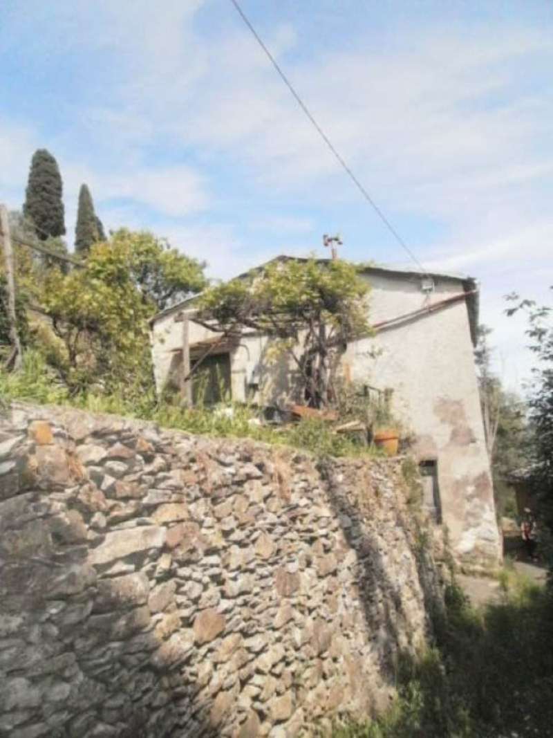 Rustico - Cascina CAMOGLI vendita   BANA Gobello Immobiliare