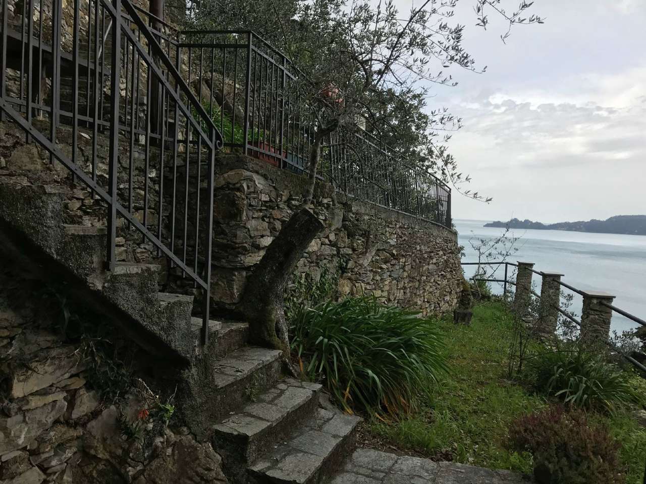 Villa ZOAGLI affitto   aurelia Gobello Immobiliare