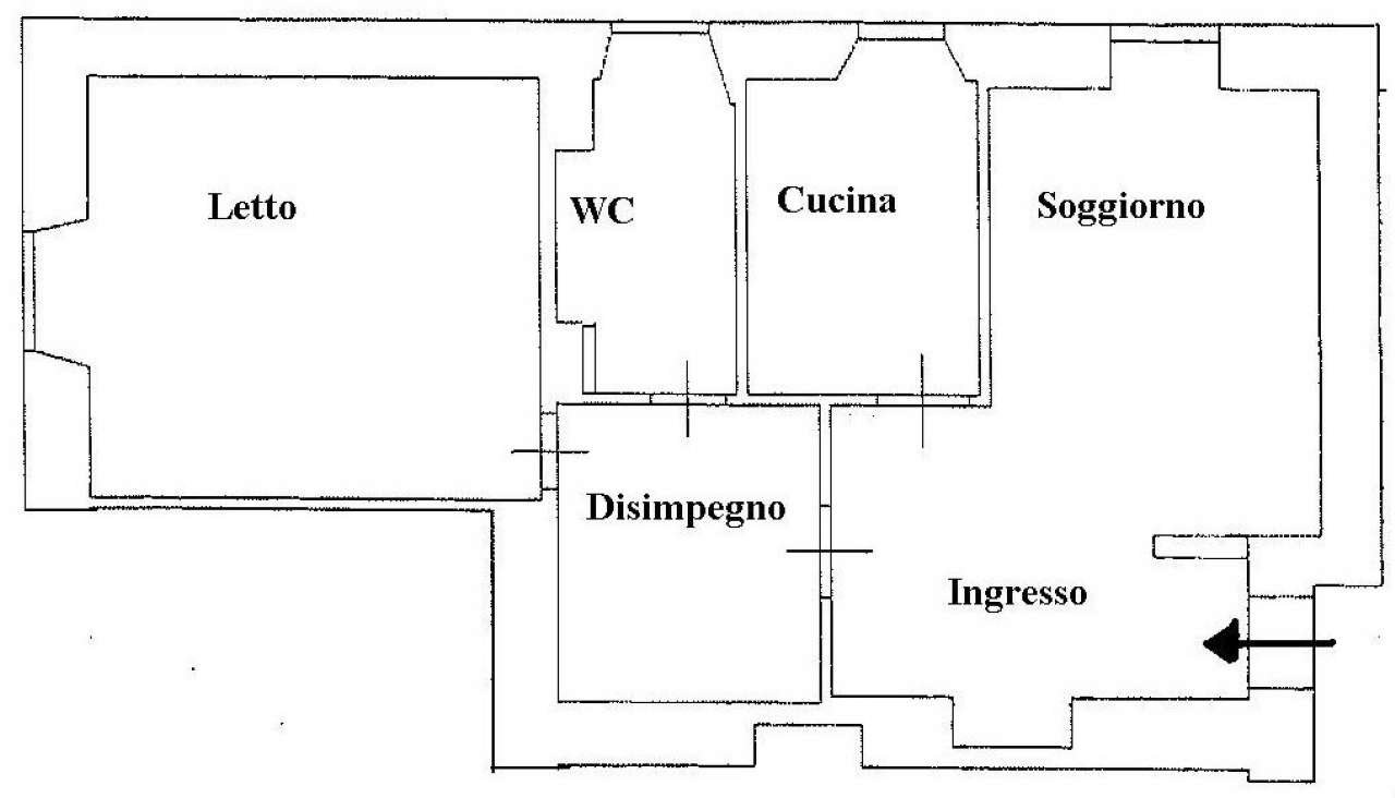 Appartamento ROMA vendita  TUSCOLANO (VI MUN.) Egerio Levio Soluzioni Immobiliari