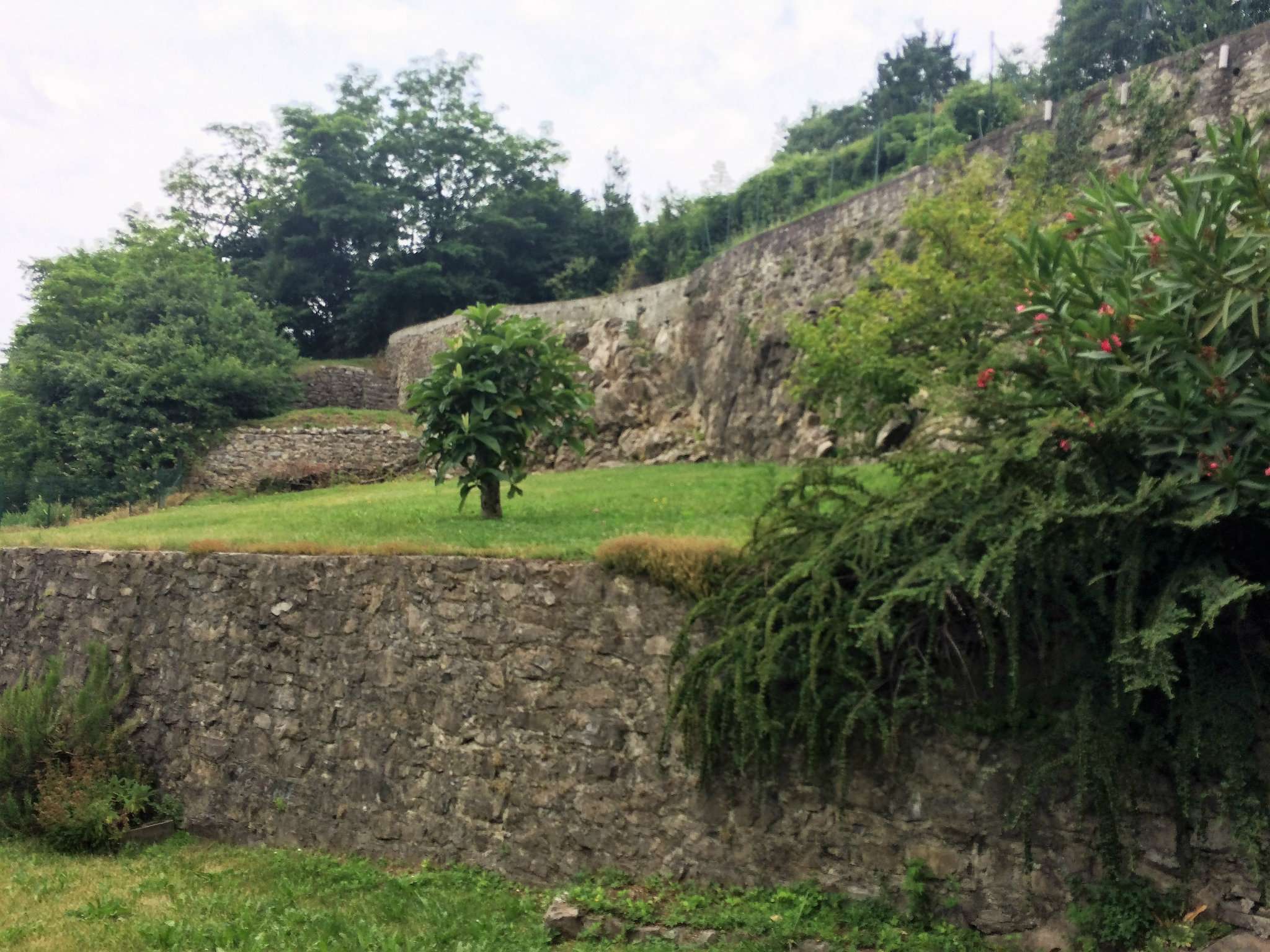 Villa Bifamiliare PORLEZZA vendita   via corrido CENTRO IMMOBILIARE BUSNELLI