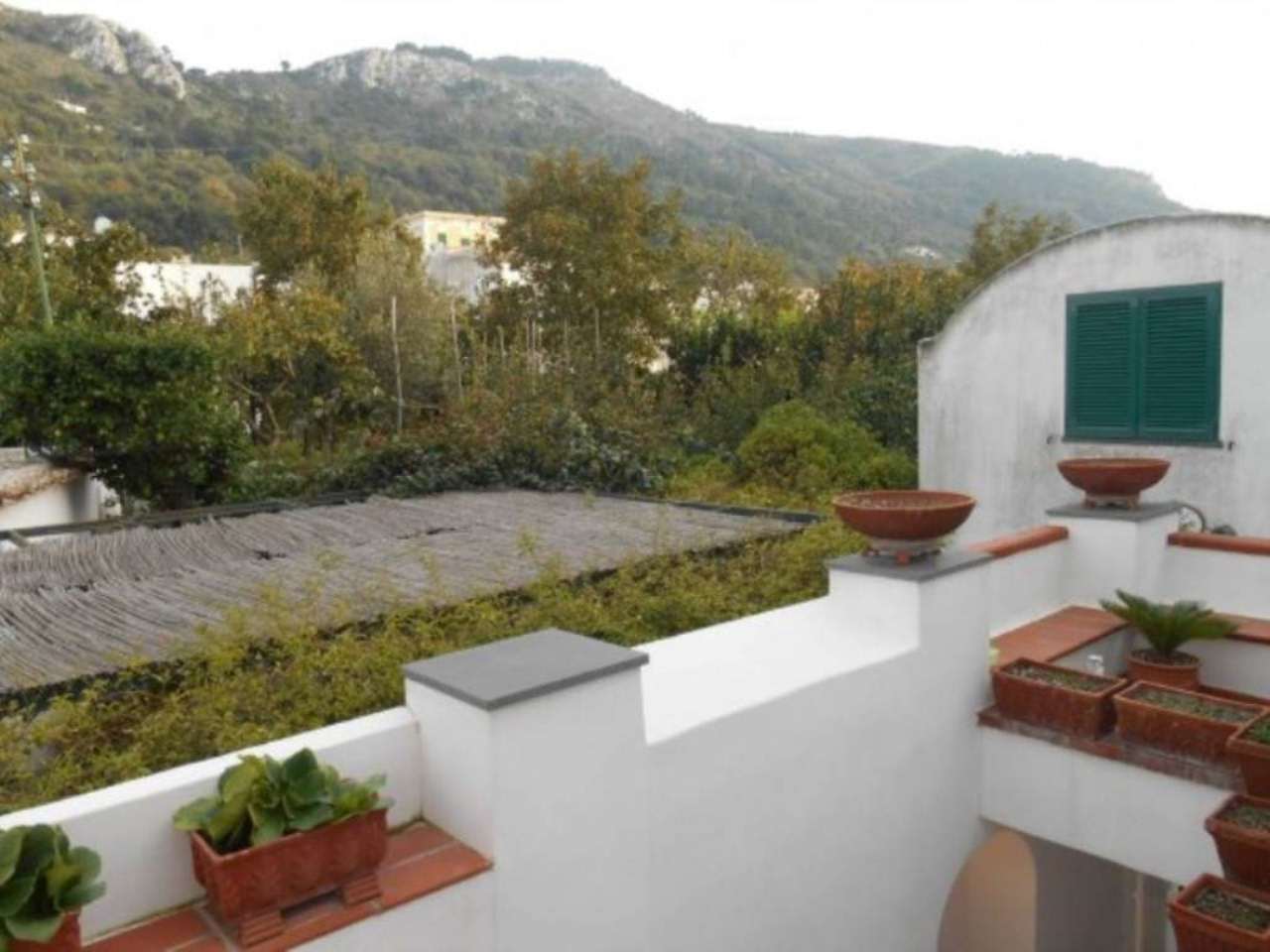 Appartamento ANACAPRI vendita   Catena PFC immobiliare