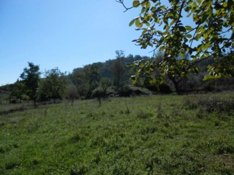 Rustico - Cascina SAN VITO ROMANO vendita   loc le Prata SPORTELLO IMMOBILIARE CAVE