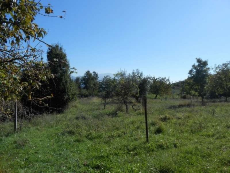 Rustico - Cascina SAN VITO ROMANO vendita   loc le Prata SPORTELLO IMMOBILIARE CAVE