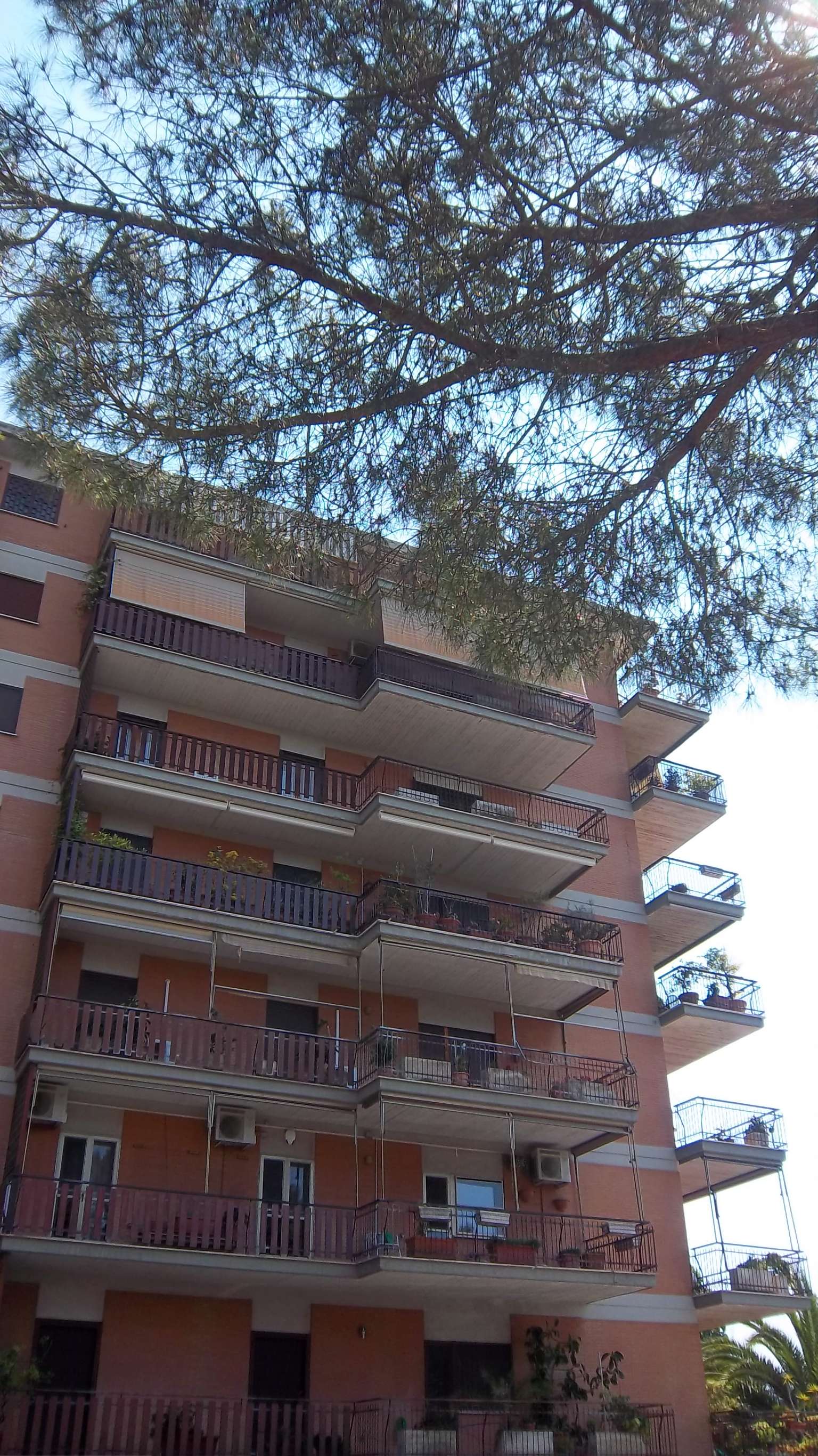 Appartamento ROMA vendita  EUROPA  Vitaliano Brancati IMMOBILIARE L.& M.DI LIBERATI LUCIANO E MARMONI R