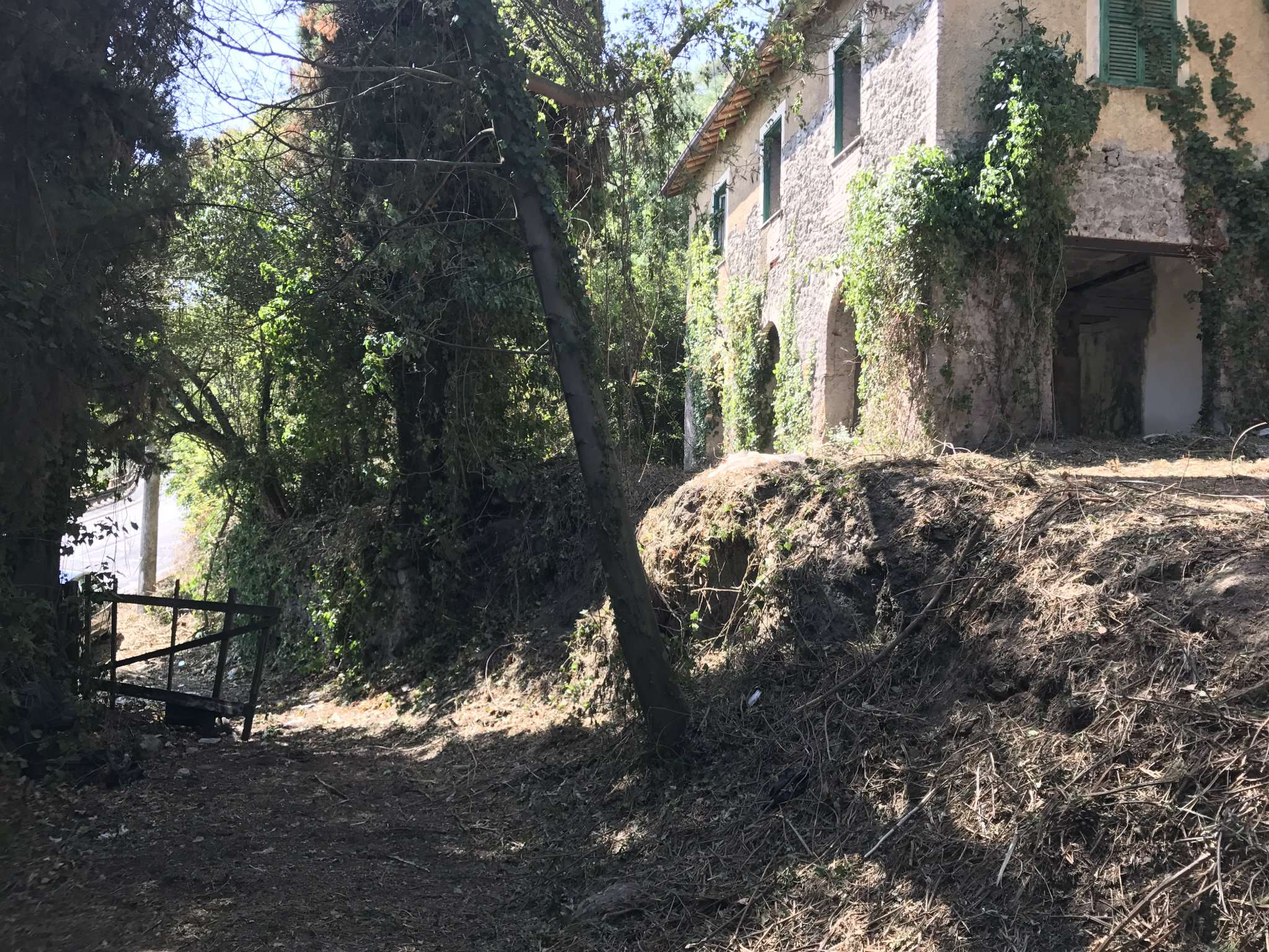 Rustico - Cascina CASTEL GANDOLFO vendita   Via Antonio Gramsci Elite Immobiliare