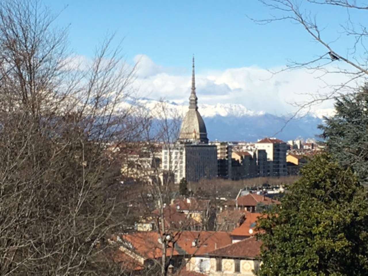 Appartamento TORINO vendita  PRECOLLINA Ospedale di San Vito Chierimmobili S.n.c.