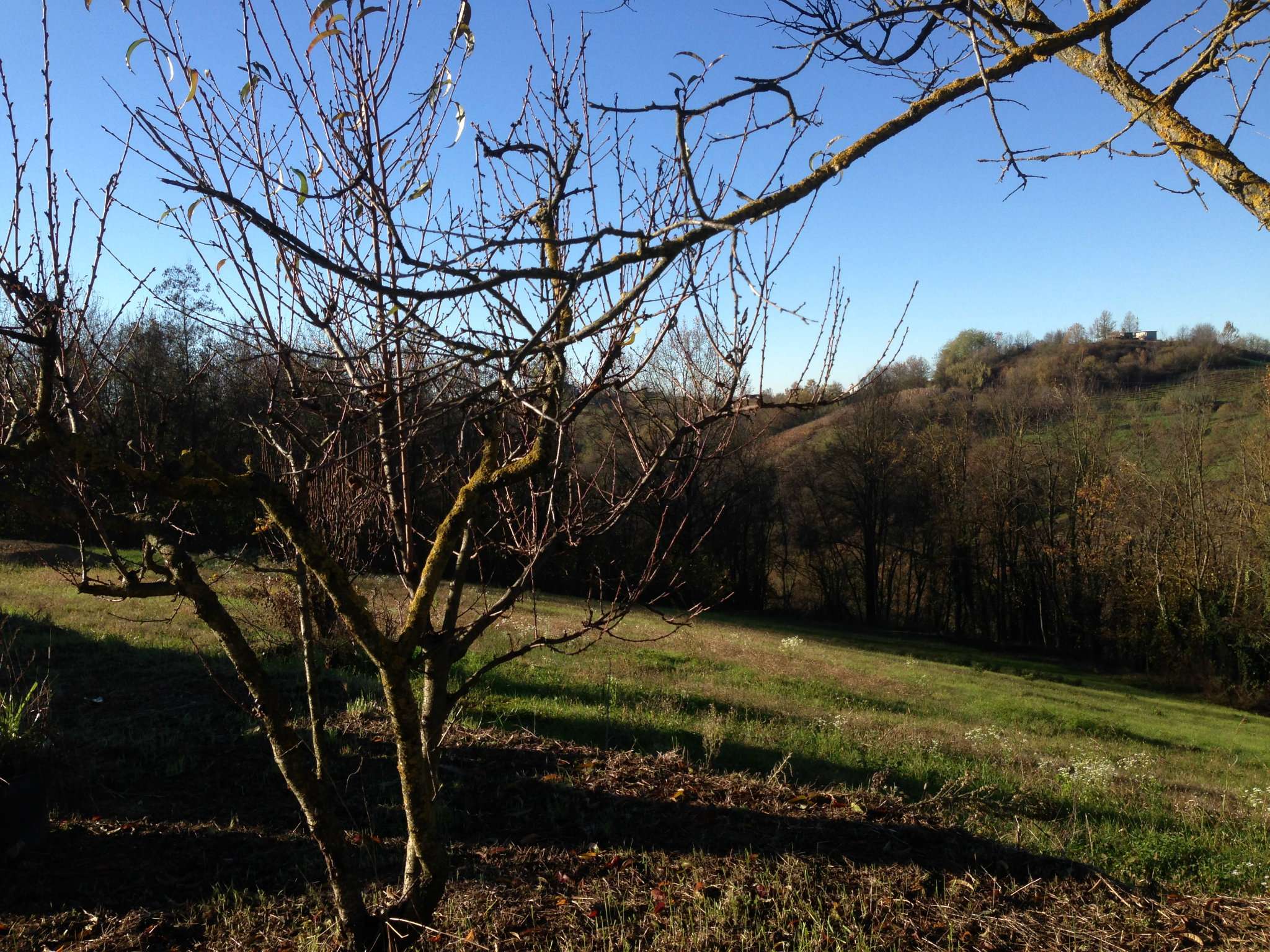 Villa Unifamiliare - Indipendente SAN DAMIANO D