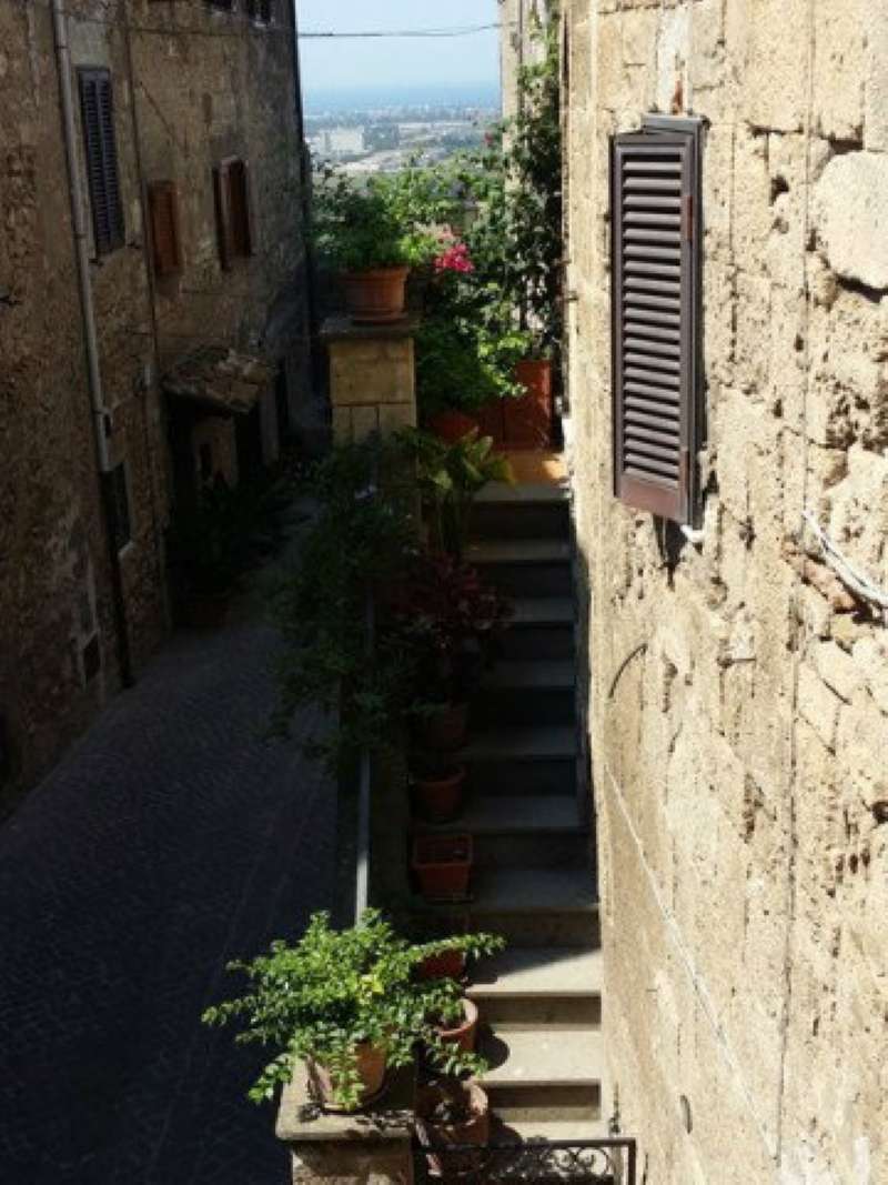 Appartamento TARQUINIA vendita   Via Porta Castello Casa Direct