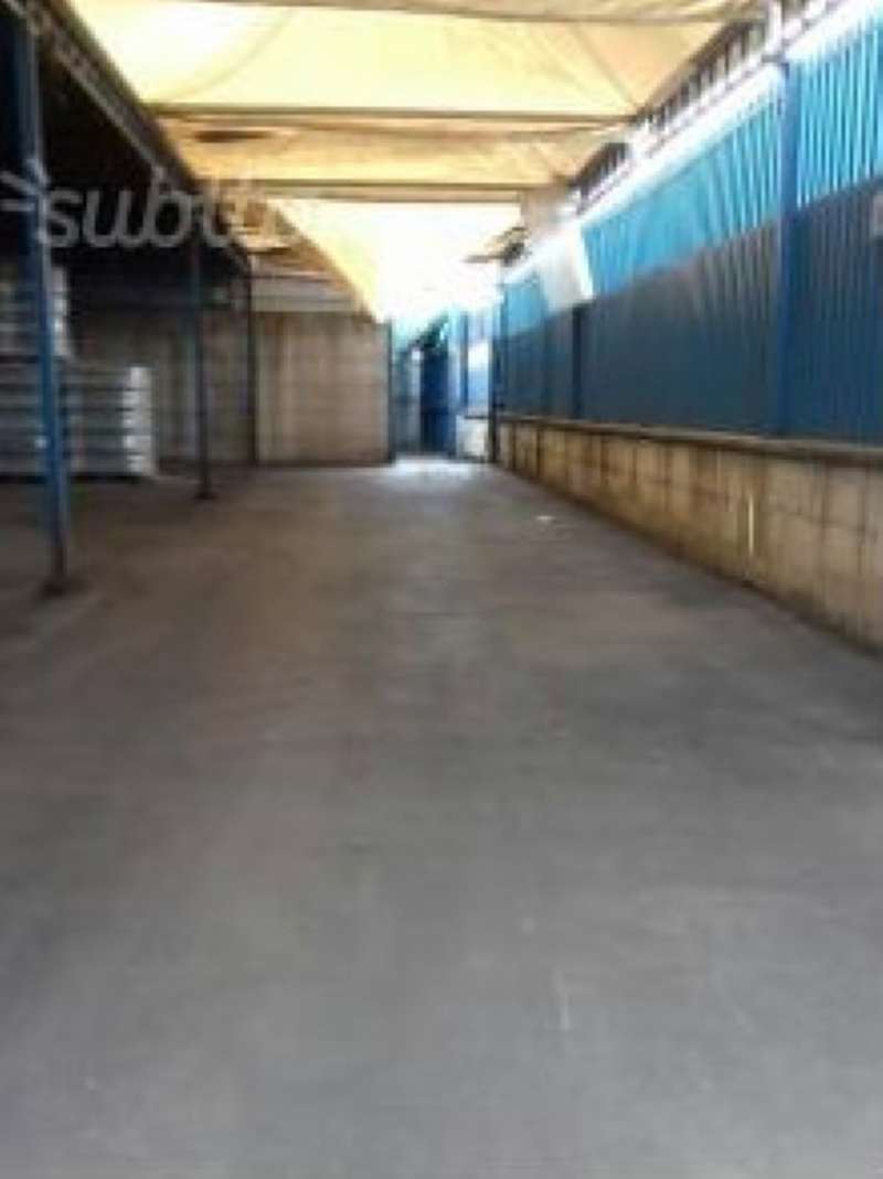 Capannoni (Tutti) NAPOLI affitto  PONTICELLI  ARCO IMMOBILIARE LUXURY SANT'ANASTASIA  N 185