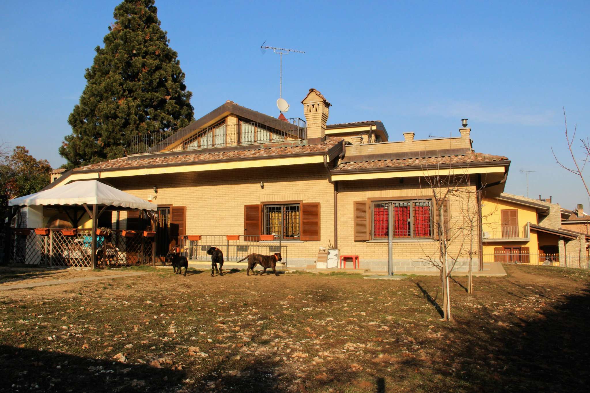 Villa ROSTA vendita   CHIANALE IMMOBILIARE ROSTA BUTTIGLIERA