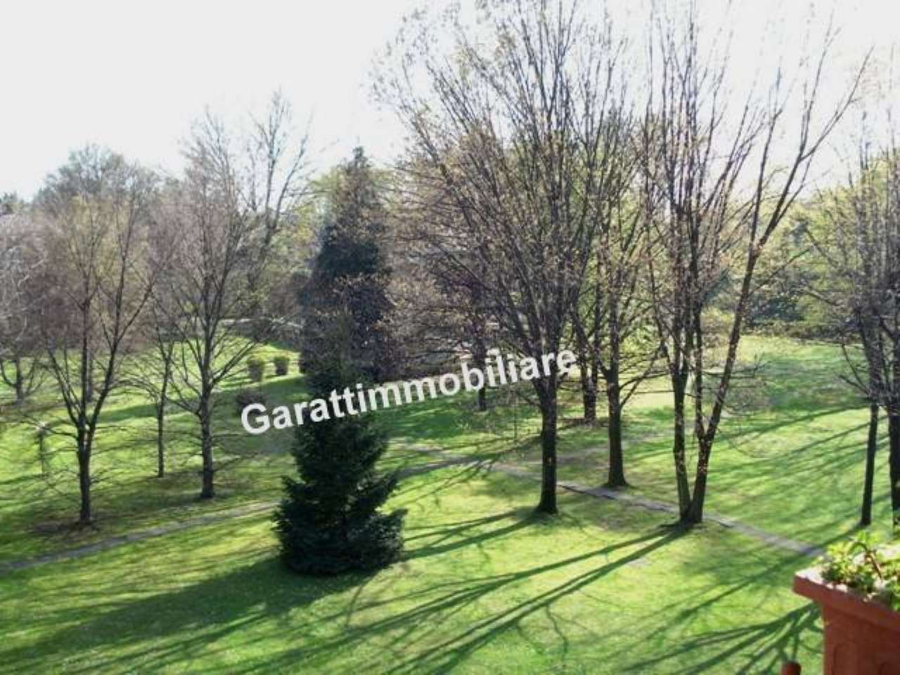 Appartamento MONZA vendita  PARCO della birona Immobiliare Garatti Monza