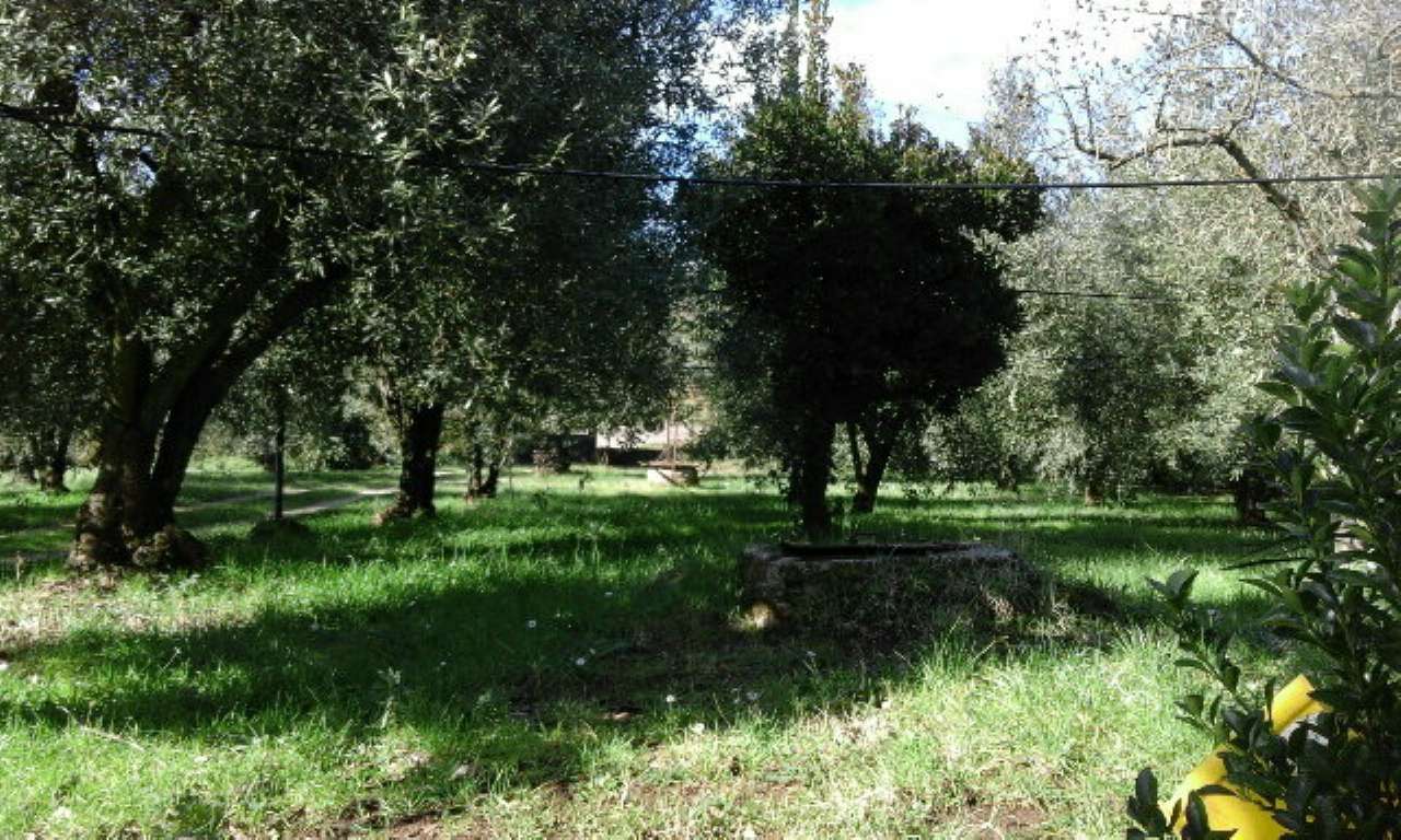 Rustico - Cascina SORIANO NEL CIMINO vendita   San Pietro RE/MAX Urbest