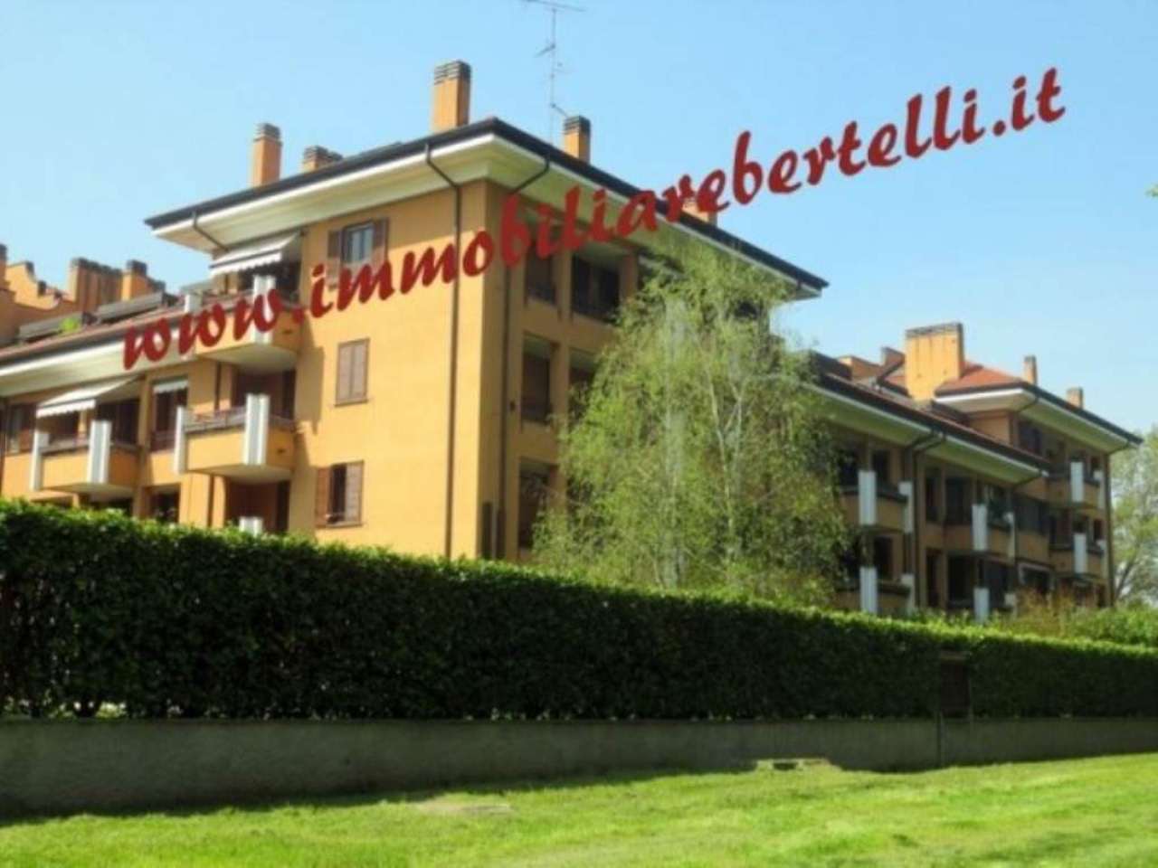 Appartamento PESCHIERA BORROMEO vendita   Caduti di Nassirya Immobiliare Bertelli