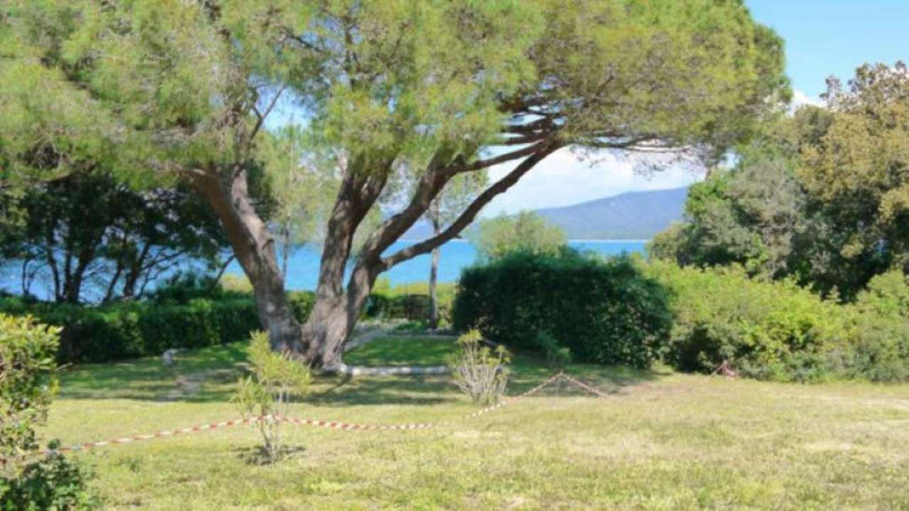  castiglione della pescaia vendita quart:  fonditalia immobiliare