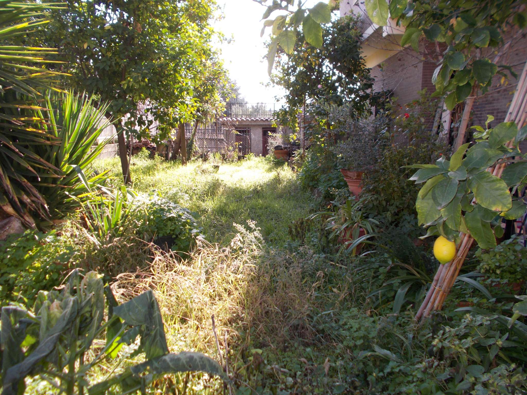 Villa ROMA vendita  FINOCCHIO del Casale del Finocchio Mediocasa Finocchio