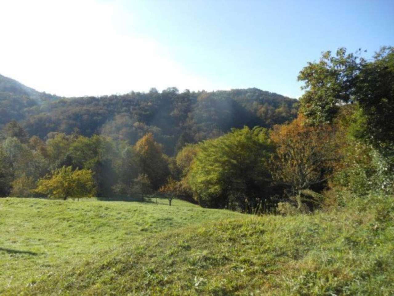 Rustico - Cascina LUINO vendita    Blu Immobiliare