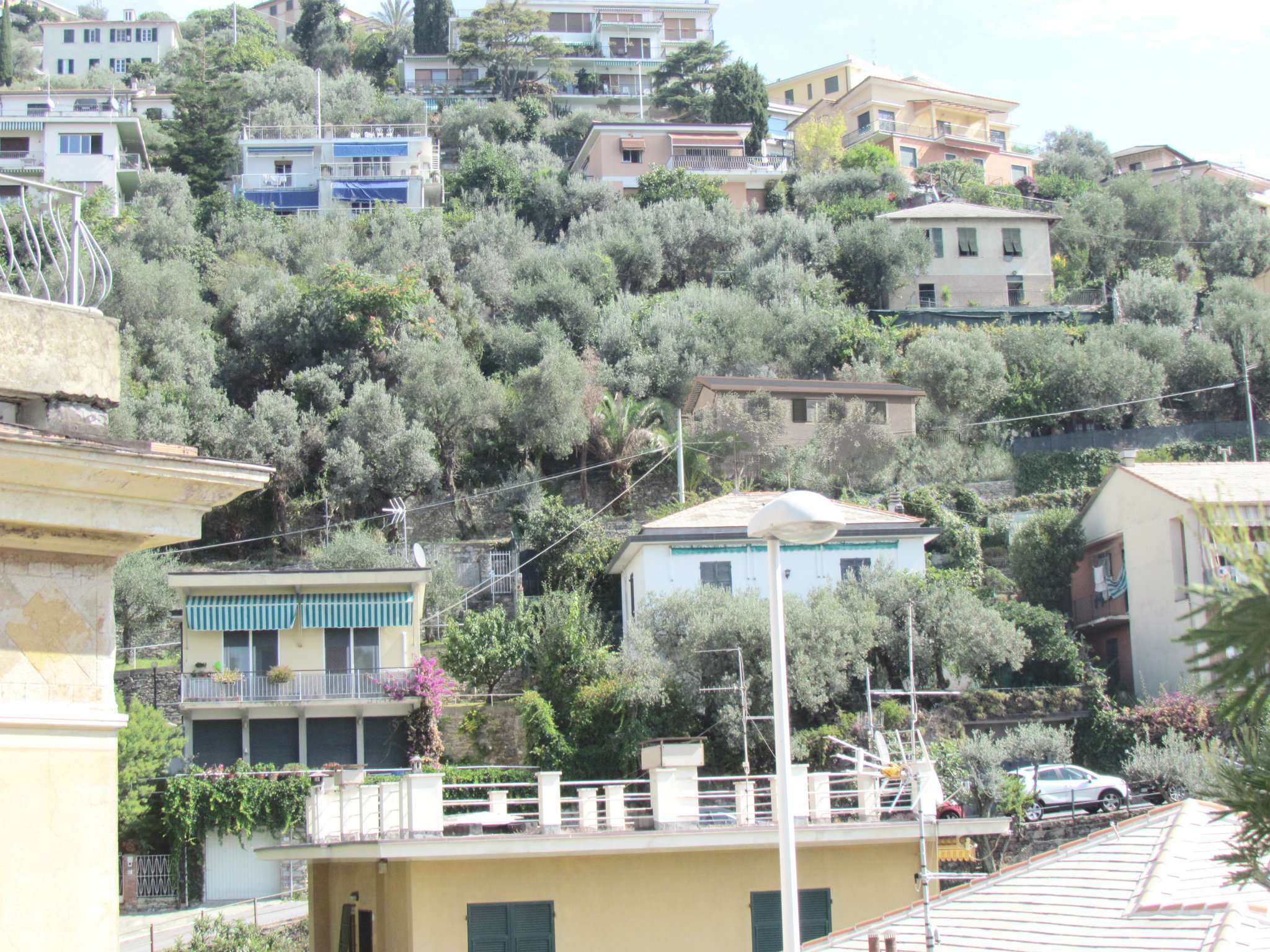 Villa PIEVE LIGURE vendita   Besso Dodero Studio Immobiliare