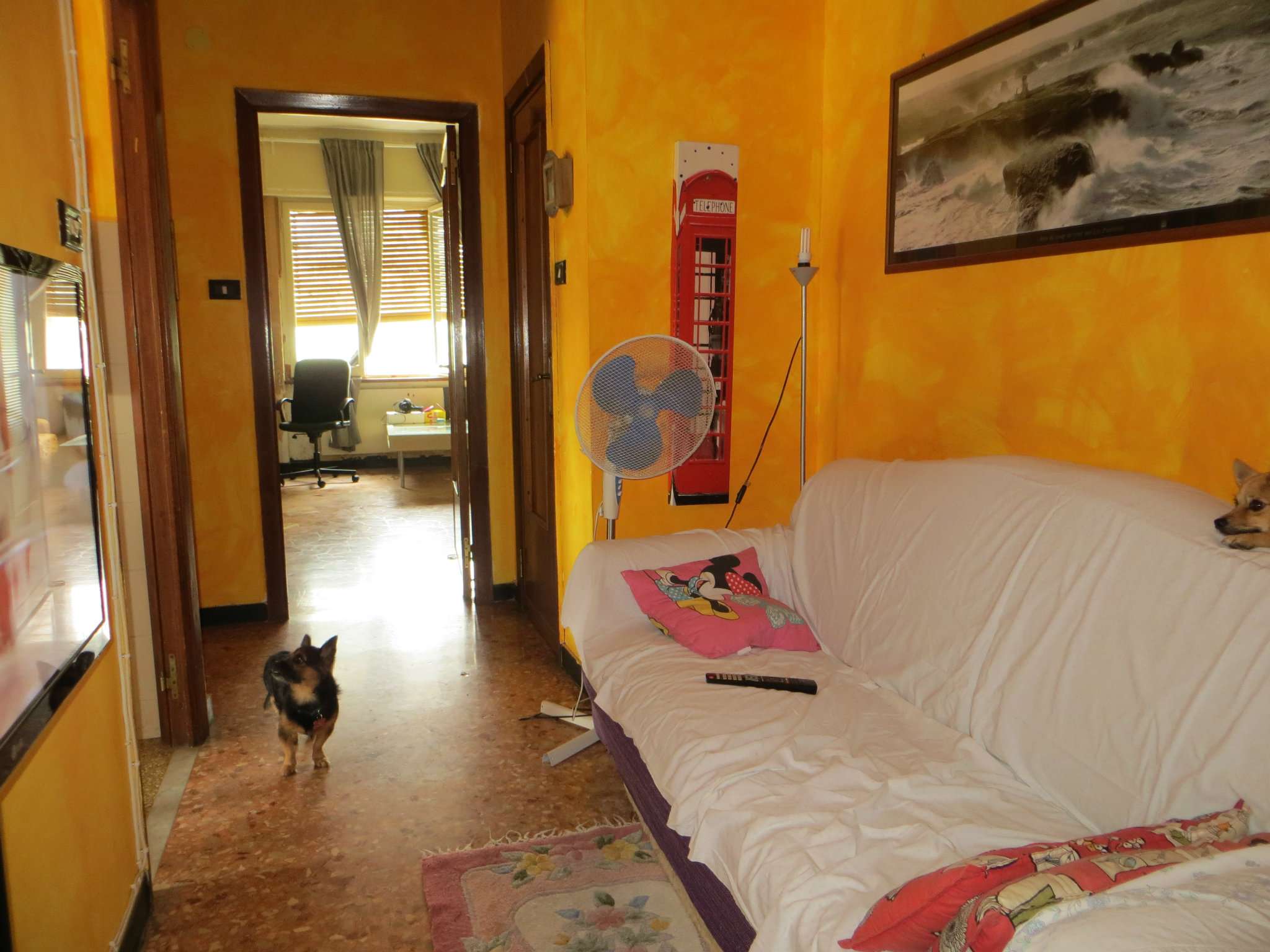 Appartamento GENOVA vendita  PEGLI via Opisso Columbia Immobiliare