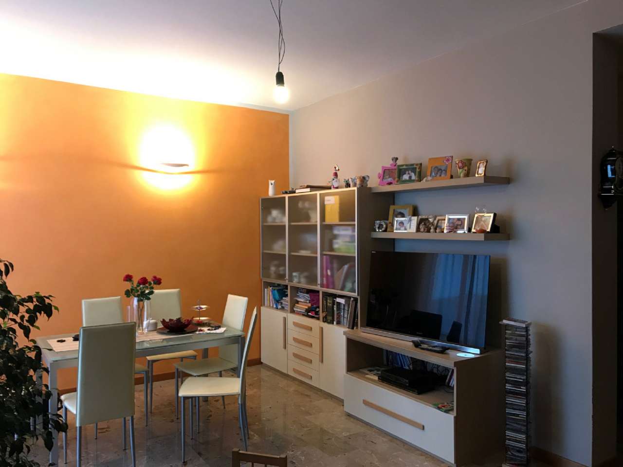 Appartamento PIACENZA vendita    FARNESE SOLUZIONI IMMOBILIARI