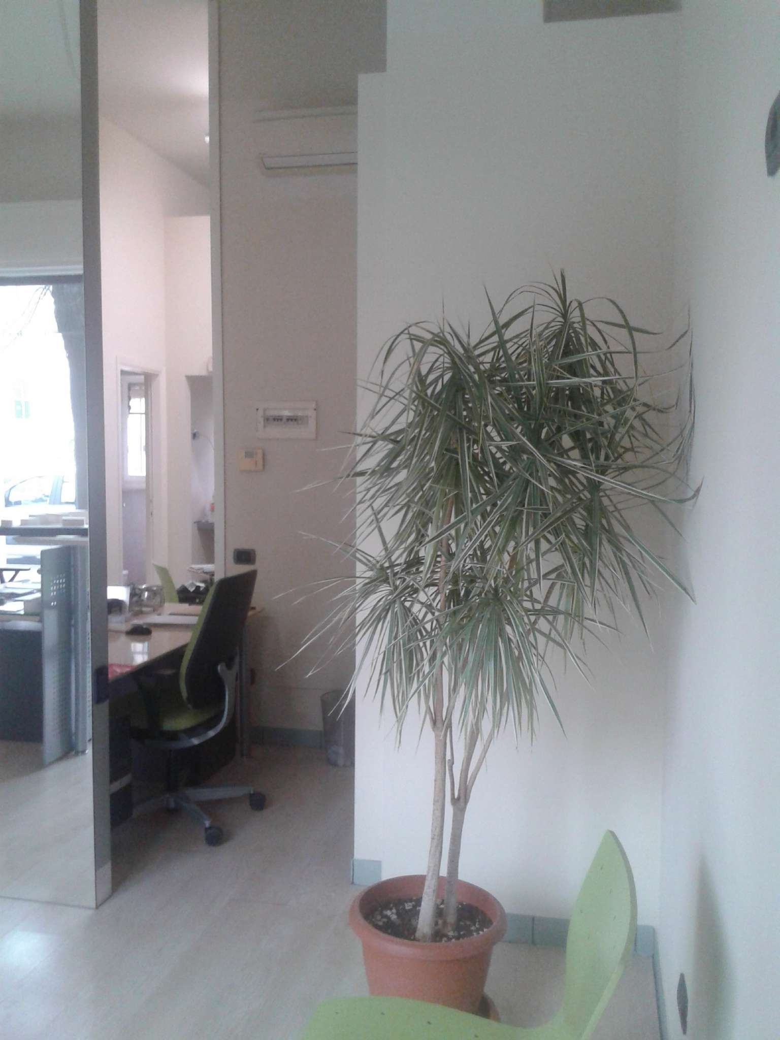  piacenza affitto quart:  farnese-soluzioni-immobiliari