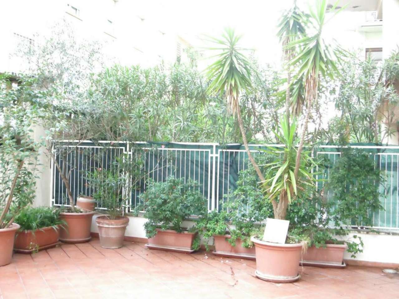 Appartamento ROMA vendita  PARIOLI  Archimede Gruppo MD