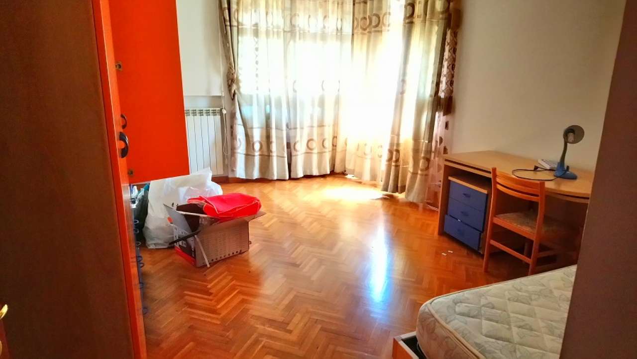 Appartamento ROMA affitto  LIDO DI OSTIA LEVANTE Algajola OS REAL ESTATE S.R.L.