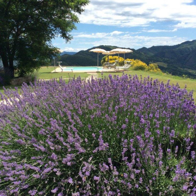 Rustico - Cascina SARSINA vendita    quatarca immobiliare sas