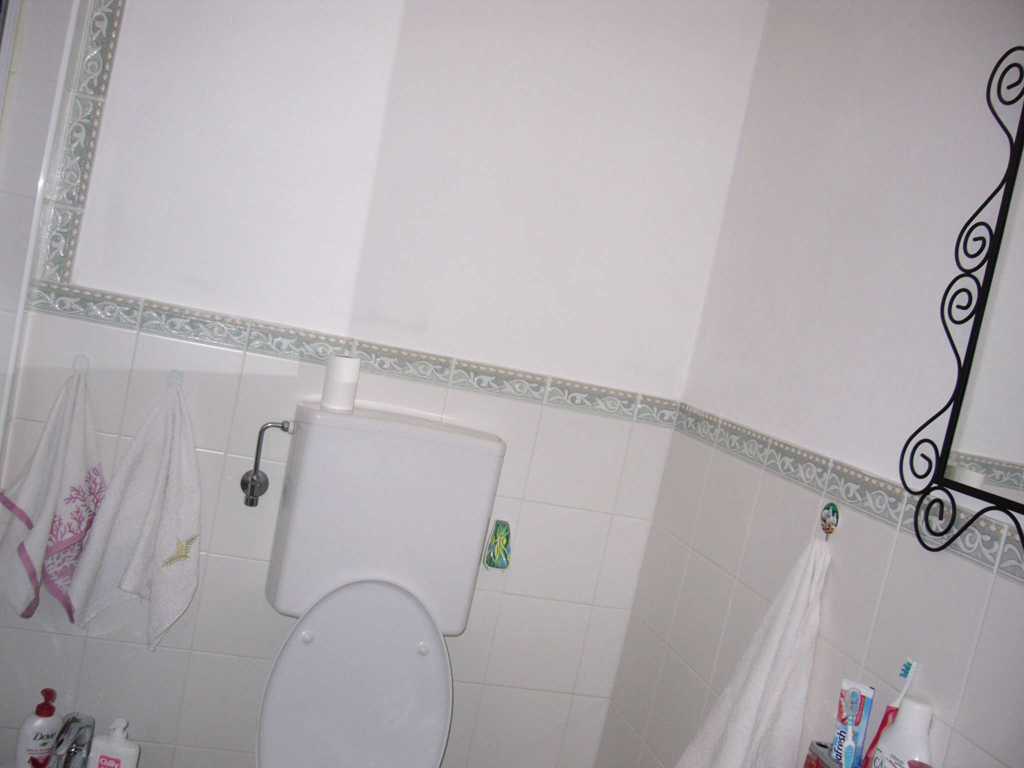 Appartamento PADOVA vendita  CENTRO  IMMOBILIARE GIGLIO