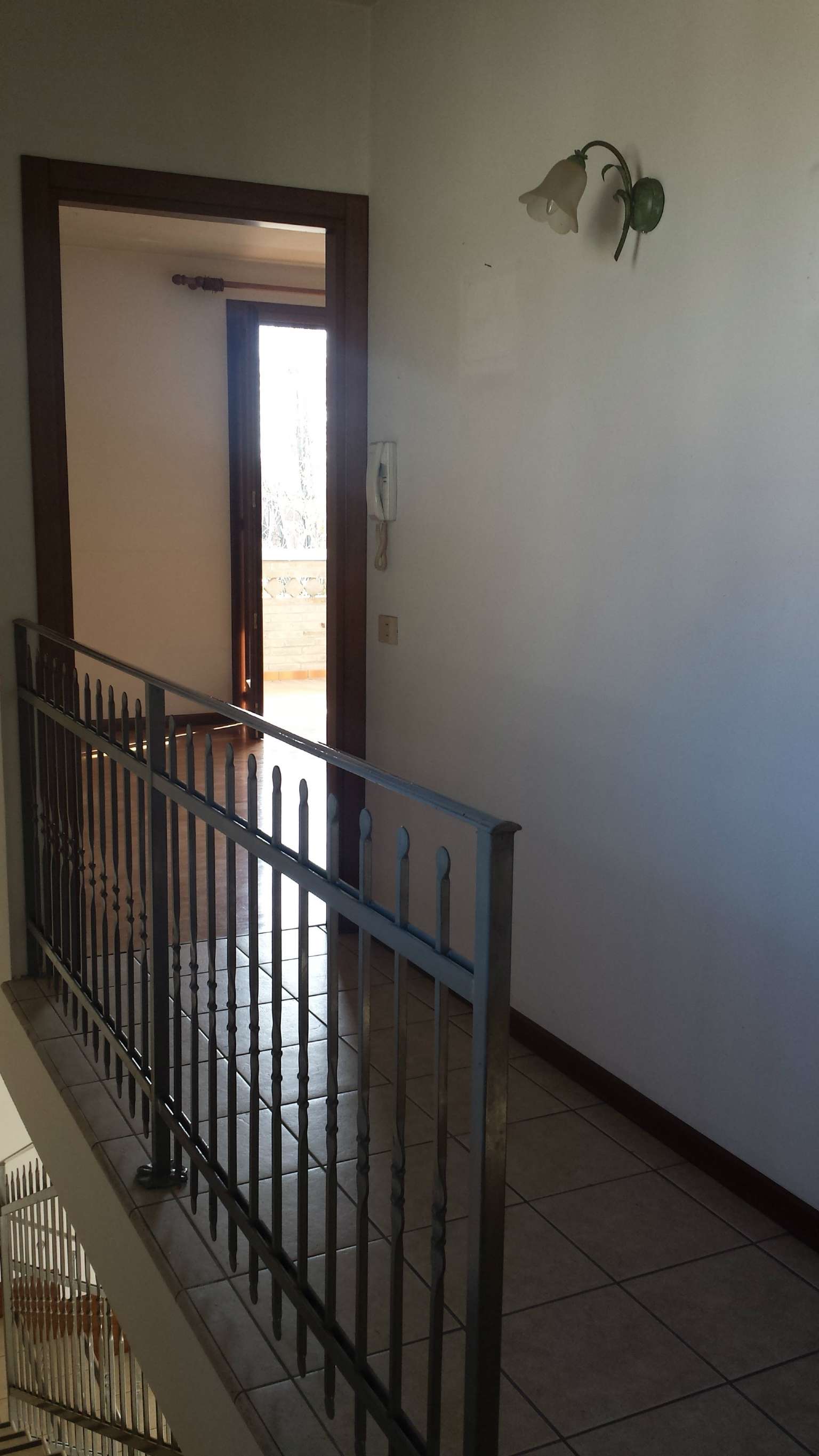 Villa Unifamiliare - Indipendente PADOVA vendita  BASSANELLO  IMMOBILIARE GIGLIO