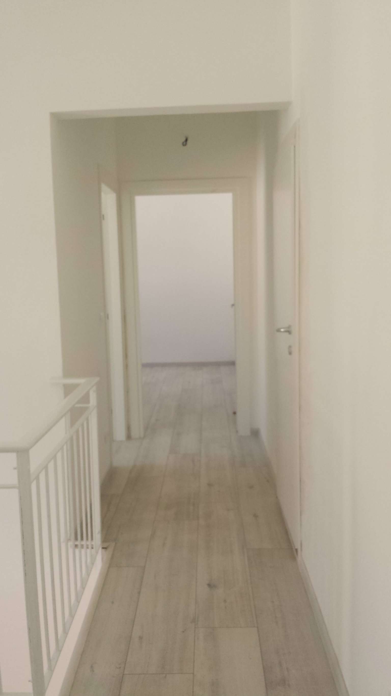 Ufficio - Loc.Com. PADOVA affitto  VOLTABAROZZO Piovese IMMOBILIARE GIGLIO