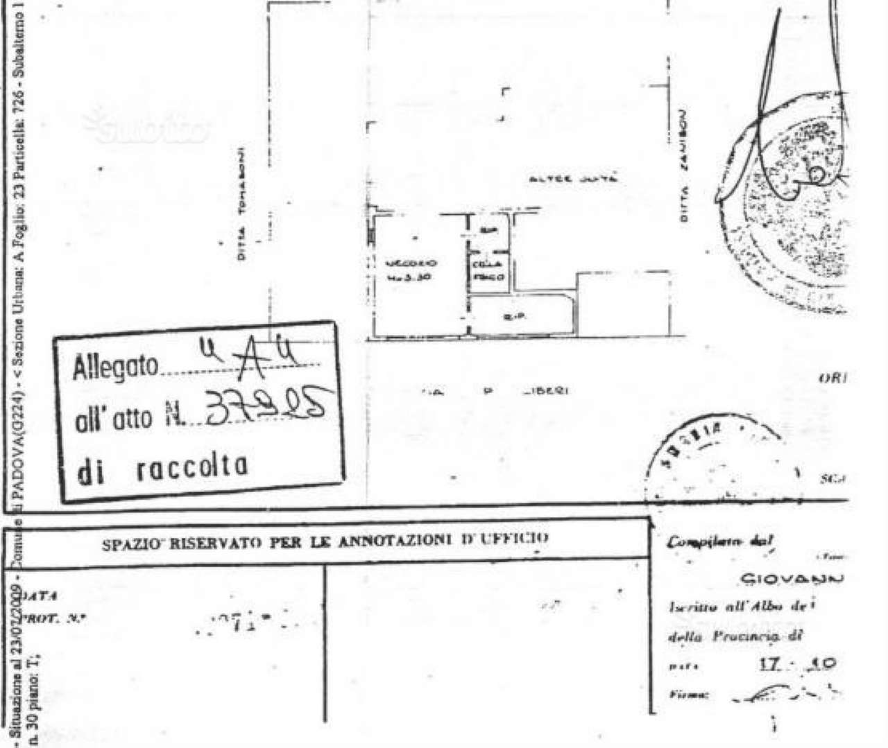 Negozio - Loc.Com. PADOVA vendita  ARCELLA  Smeraldo Case s.a.s.