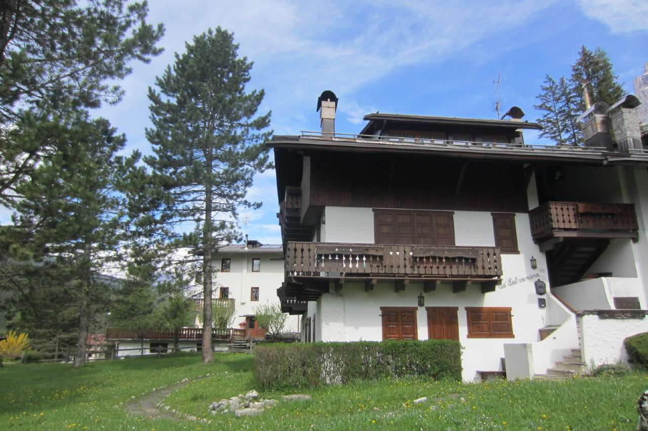 Mansarda - Sottotetto - Soffitta - Solaio SAN VITO DI CADORE vendita   al lago Idea Casa
