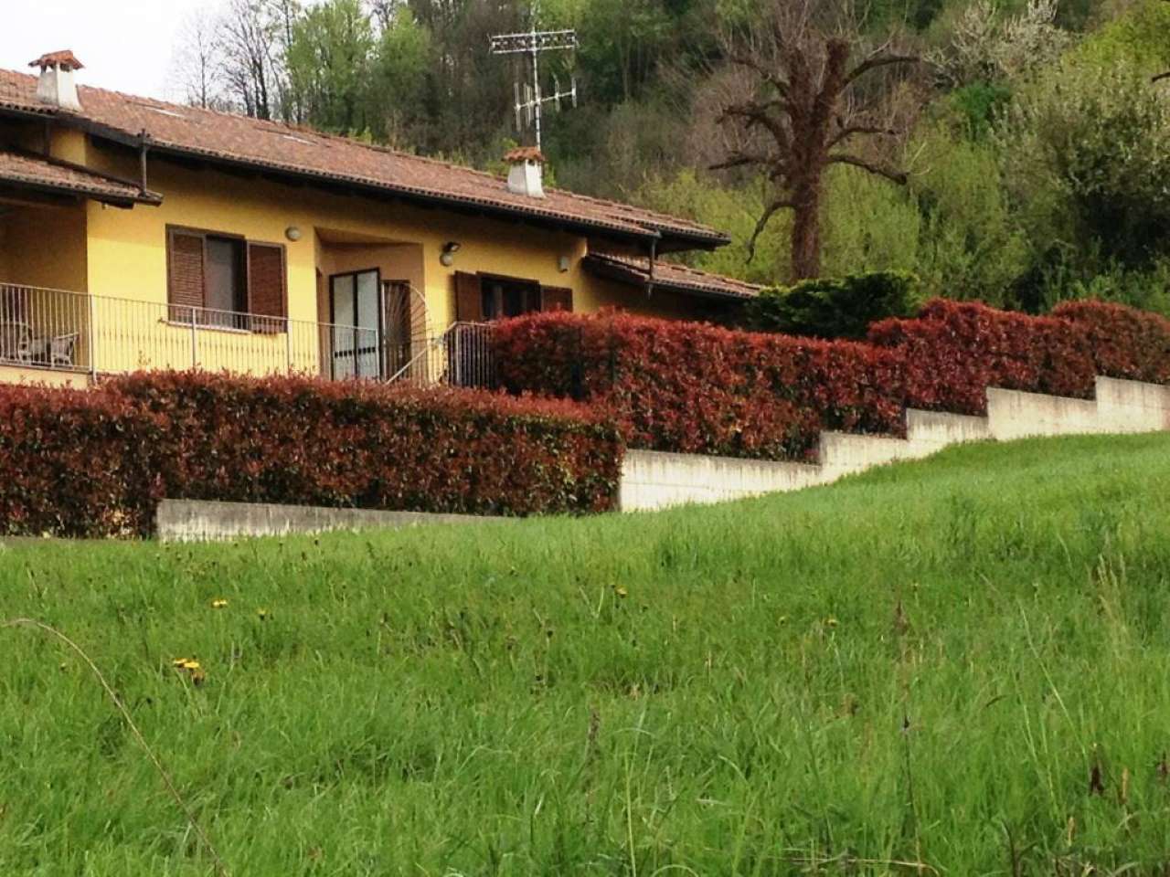 Villa Unifamiliare - Indipendente BRUSASCO vendita   SAN FRANCESCO De Amicis Immobiliare