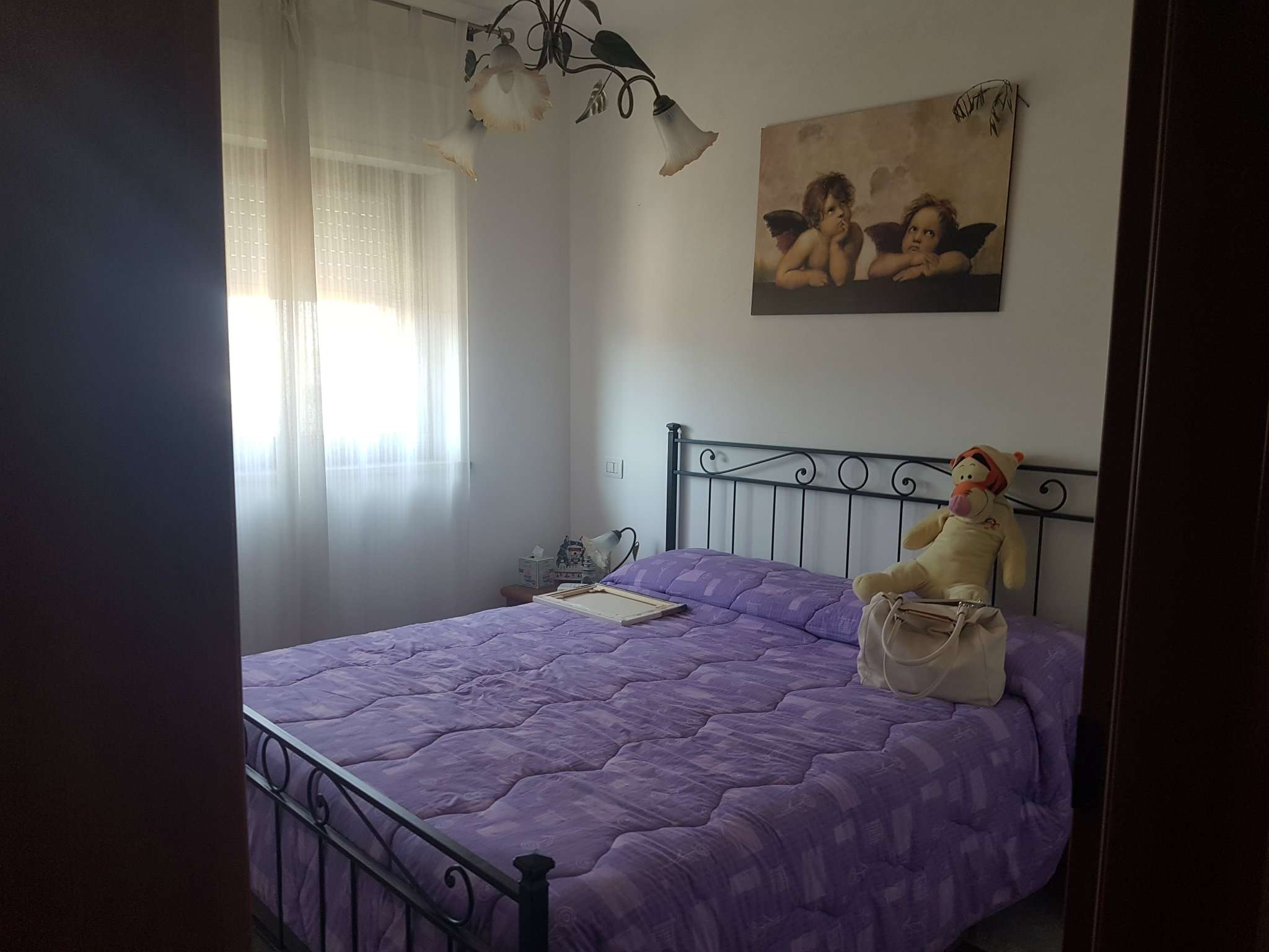 Appartamento NETTUNO vendita   canducci Carmen IMMOBILIARE