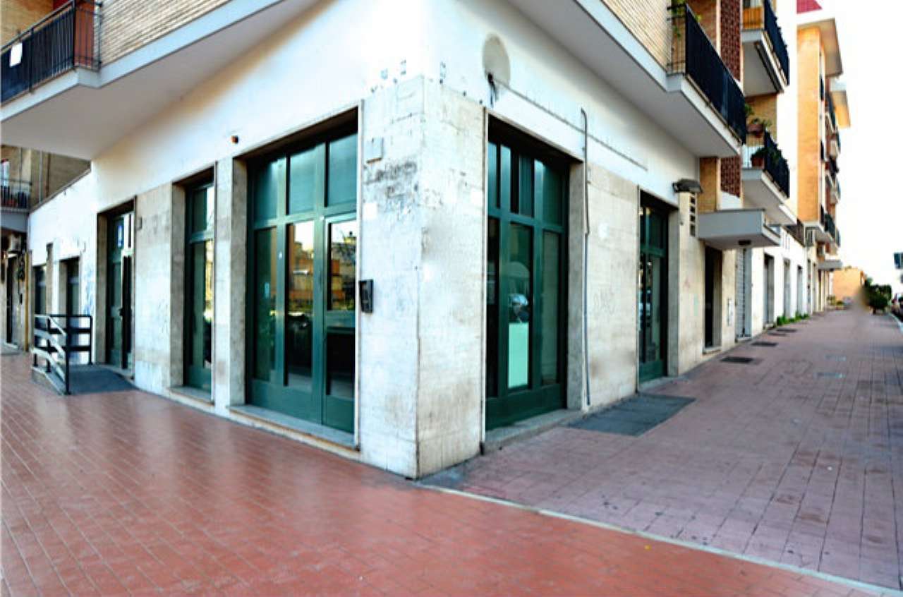  roma affitto quart: torrevecchia zucchetti-re-srl