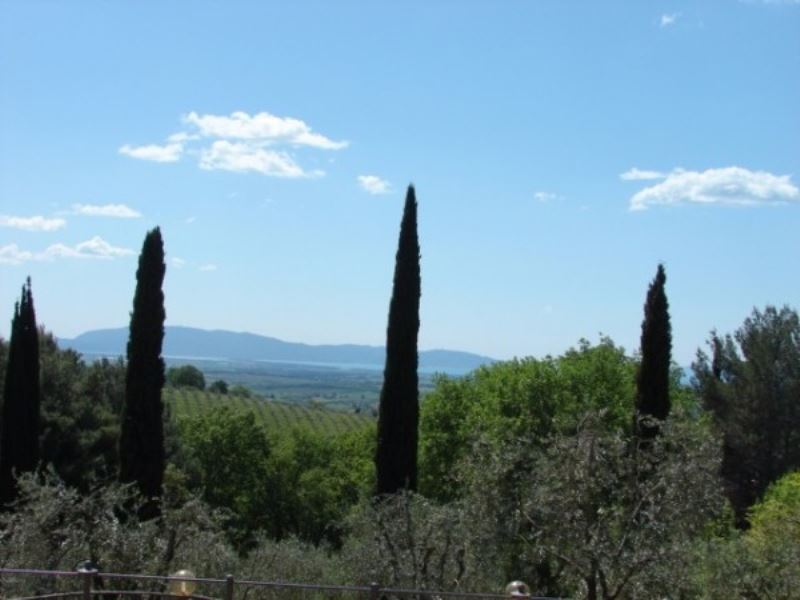 Villa MAGLIANO IN TOSCANA vendita   Unnamed Road Alianta